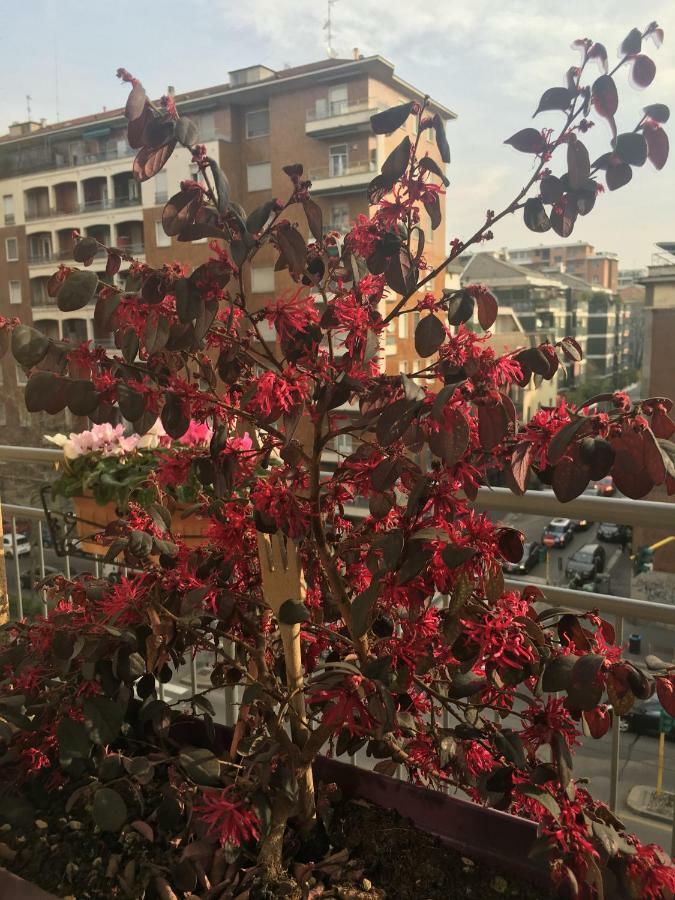 Zonatortona B&B Milano Dış mekan fotoğraf